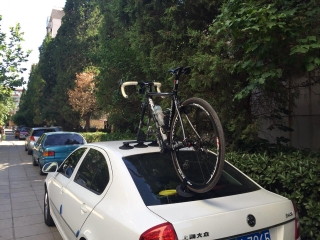 TreeFrog Elite 1 Bike Rack