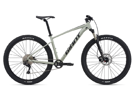 TALON 29 1